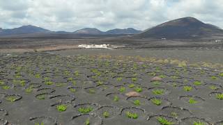 La Geria on Lanzarote [upl. by Wasson]