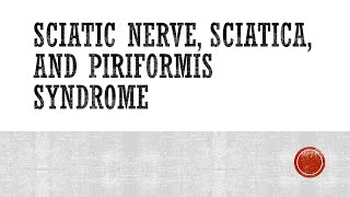 Sciatic Nerve Sciatica and Piriformis Syndrome [upl. by Nahgaem]