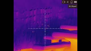 AGM Thermal rifle scope with AEAHP Semi auto putting in the work [upl. by Orlov]