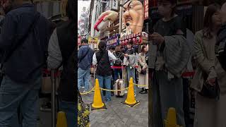 Walking Dotonbori Osaka Japan [upl. by Aicnorev308]