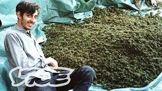 Swaziland Gold Mine of Marijuana Part 12 [upl. by Southard640]