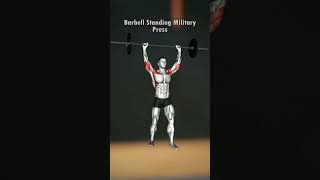 Barbell Standing Military Press Guide Enhance Your Shoulders Workouts [upl. by Aalst]