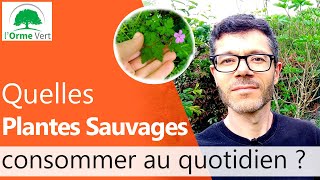 Quelques Plantes Sauvages Comestibles  Petit tour du Jardin 2020 [upl. by Kenward]