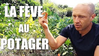 La fève au potager [upl. by Haiacim]