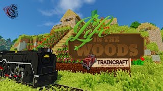 1 Traincraft super schön und mit Story  LITW amp Traincraft Minecraft  german LP [upl. by Hterag442]