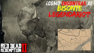 UBICACIÓN DEL BISONTE LEGENDARIO EN RDR2  Cazando todos los animales de Red Dead Redemption 2 [upl. by Emma]