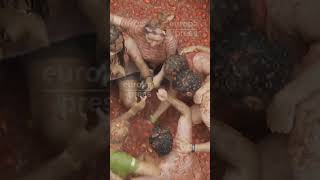 La Tomatina vuelve a teñir de rojo Buñol en su 77 edición [upl. by Nylloh539]