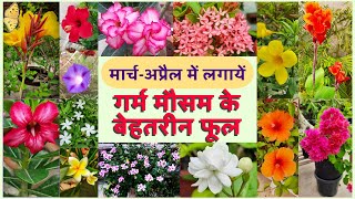 Top 15 Summer flowering plants to bring home Best flowering plants of Summer in India [upl. by Leona]