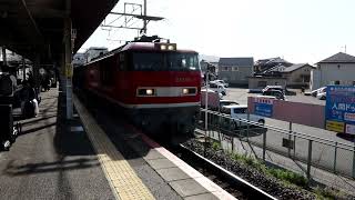 EF5101富山牽引の貨物列車 瀬田駅通過 2024年4月19日撮影 [upl. by Cahra]