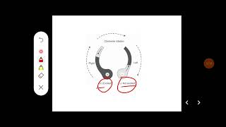 Q Describe mode of action of otoliths semicircular canals and their role in regulation of posture [upl. by Enaoj317]