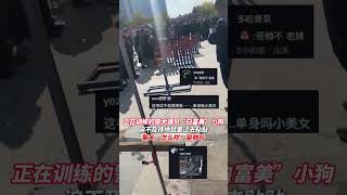 消防队的警犬训练过程中瞥见围观的“美女狗狗”， 脚下一个拐弯就冲过去贴贴了。 警犬 万万没想到 趣闻 狗狗 [upl. by Buffum]