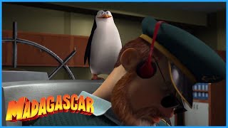 DreamWorks Madagascar  The Penguins Takes Over The Ship  Madagascar Movie Clip [upl. by Koss790]