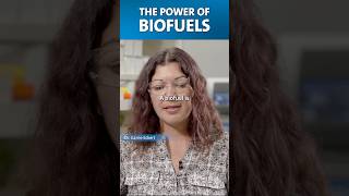 Biofuels explained QEDwithDrB energy microbes [upl. by Olmstead]