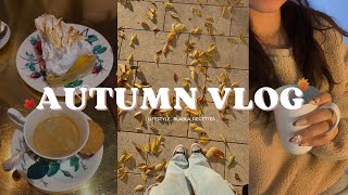 Automn Vlog   lifestyleblablacooking [upl. by Okiram692]