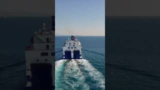 Chasing Af Marina ship from Durrës🇦🇱 to Ancona🇮🇹 potensicatom ships shorts [upl. by Animar436]