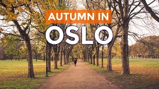 Sunny AUTUMN IN OSLO Norway [upl. by Eleon809]