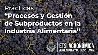 Prácticas en la asignatura Procesos y Gestión de Subproductos en la Industria Alimentaria [upl. by Atsahc]