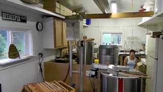 Honey Extracting 2013 at Davis Family Farms using Maxant chain uncapper junior spinner [upl. by Ytirev]