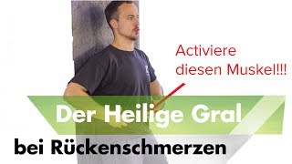 Bauchmuskeltraining  Der Heilige Gral  Hohlkreuz beseitigen Rückenschmerzen wegtrainieren [upl. by Artenahs224]