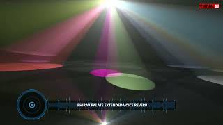 DINY KOSICE 2024  PHIRAV PALATE EXTENDED VOICE REVERB DJROBERTO [upl. by Emmalynn]