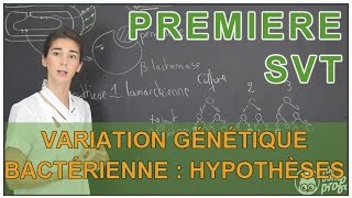 Variation génétique bactérienne  hypothèses possibles  SVT  1ère  Les Bons Profs [upl. by Acker716]