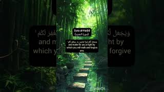 SurqhAlHadidAyat2829 quotes quranforpeace teachquran peace quransurah islamicpeace [upl. by Neomah]