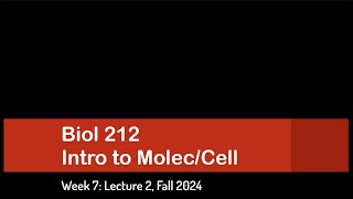 CSULB Biol 212 Fall 2024  Week 7 Lecture 2 [upl. by Lexie851]