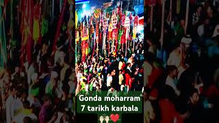 7 moharram 2024 Gonda karbala 💞 [upl. by Daphie]