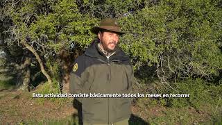 Monitoreo de venado de las pampas en el Parque Nacional Campos del Tuyú [upl. by Yarised]