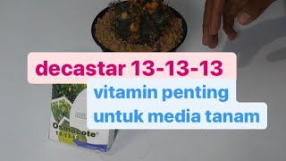 osmocote 131313 pupuk nutrisi untuk media tanam kaktus dan secculent [upl. by Aesoh]