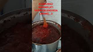 KUŞBURNU MARMELATI YAPİMİ BLENDIRDA ÇEKME 2 [upl. by Nevaeh]