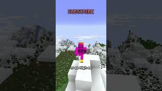 how to make faster horses this video doesnt matter at all cause you can just get an elytra and fly [upl. by Eedrahs]