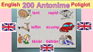 200 Antonime Engleze quot English Poliglotquot [upl. by Ialokin]