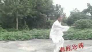 yang style tai chi 129 long form part 12 [upl. by O'Dell]