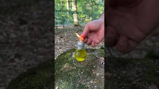 New video is forest related trending automobile lifehacks experiment gorilla diy youtube [upl. by Maro946]