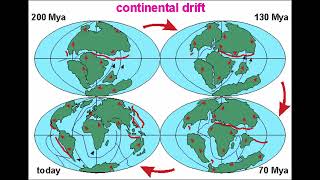 Alfred Wegeners Evidence of Continental Drift Theory [upl. by Power2]