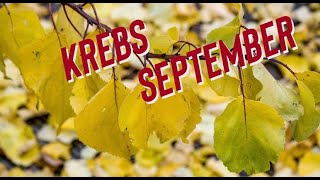 KREBS SEPTEMBER 2024 TAROT 🍁 PLÖTZLICHE VERÄNDERUNGEN september krebs tarot orakel [upl. by Geer]