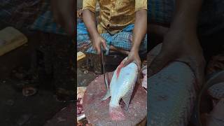 Delicious Giant Tilapia Fish Cutting Skills Live In Fish Market  shorts tilapia [upl. by Ymiaj]