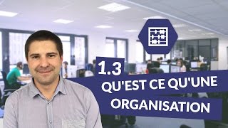 Chapitre 1  Quest ce quune organisation 33  Management Bac STMG  digiSchool [upl. by Raymond160]