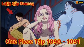 Lù Rì Viu One Piece Tập 1090  1091 Luffy Gặp Bonney Vegapunk Xuất Hiện Review one piece anime [upl. by Bensen]