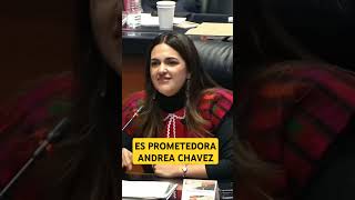 mexico Andrea Chavez les recuerda que no obedecen la constitucion hoy [upl. by Jewel]