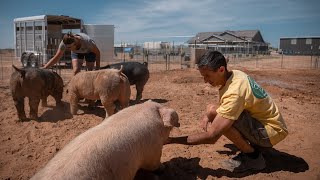 Tour of Edge of Nowhere Farm  PARAGRAPHIC Origins [upl. by Pasadis]