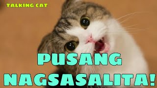 Pusang Nagsasalita [upl. by Vasta]