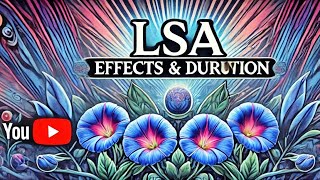 The Effects and Duration of LSA What You Need To Know [upl. by Nynnahs159]