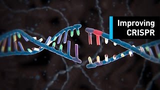 Targeted Gene Modification [upl. by Dieter]