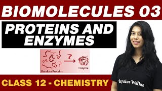 SOLUTIONS in 90 Minutes  Chemistry Chapter 1  Full Chapter Revision  Class 12th [upl. by Estus]