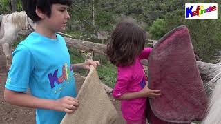 APRENDEMOS 🐎 CABALLOS 🐴 Poni Club Catalunya Actividades Fin Semana Familia Centro Equitación [upl. by Lennor]