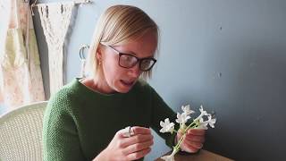 How to wire stephanotis [upl. by Ytte]