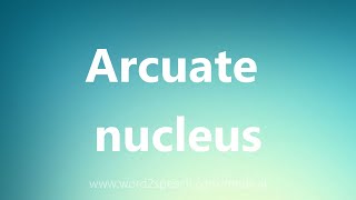 Arcuate nucleus  Medical Definition [upl. by Norod]