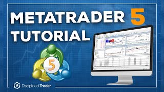 Complete MetaTrader 5 Tutorial For Beginners  2024 Edition [upl. by Abernathy]